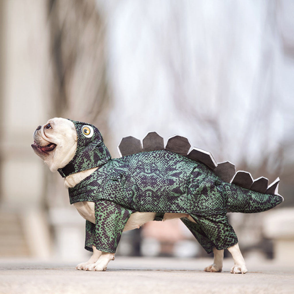 DinoPaws - Bunny Dinosaur Outfit for Female Dogs