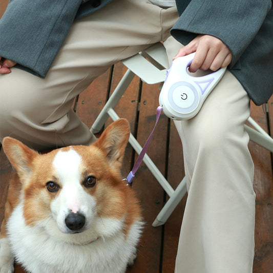 DreamFlex Leash-The Ultimate Retractable Leash for Your Dog